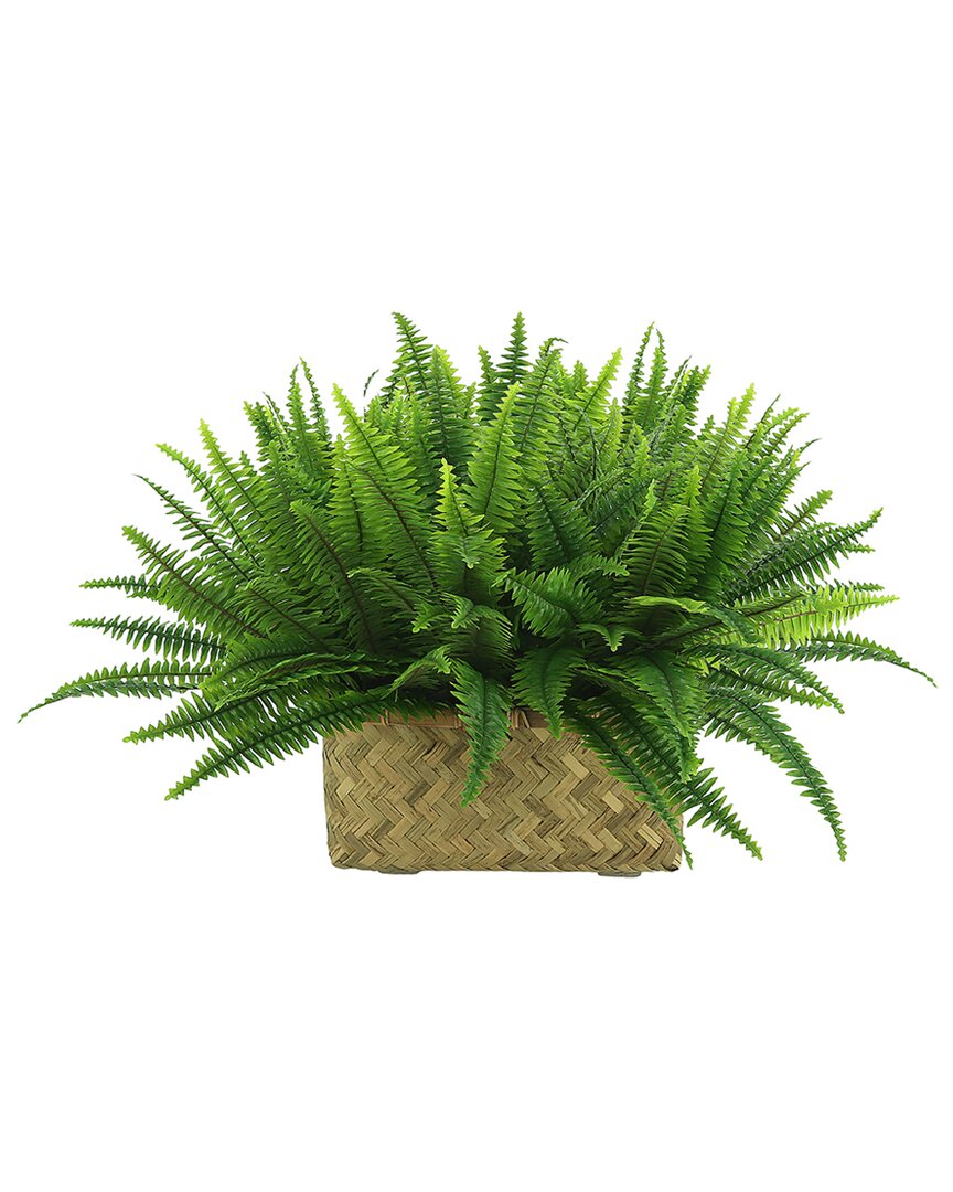 Creative Displays Fern Basket Arrangement In Green