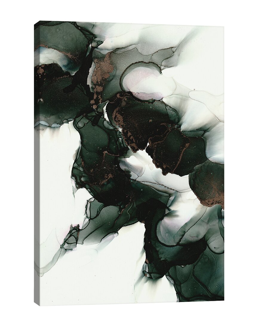 Icanvas Canvas Artwork By Amber Lamoreaux