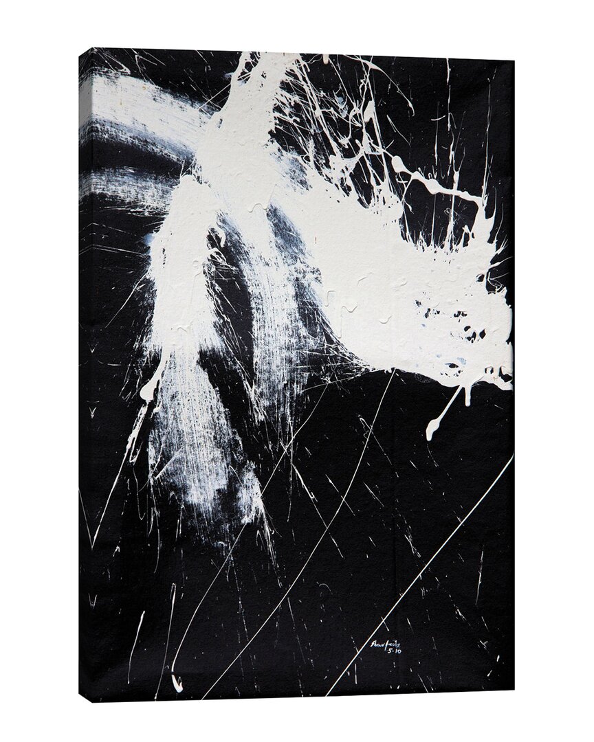 ICANVAS ICANVAS BLACK & WHITE BY SHAWN JACOBS WALL ART