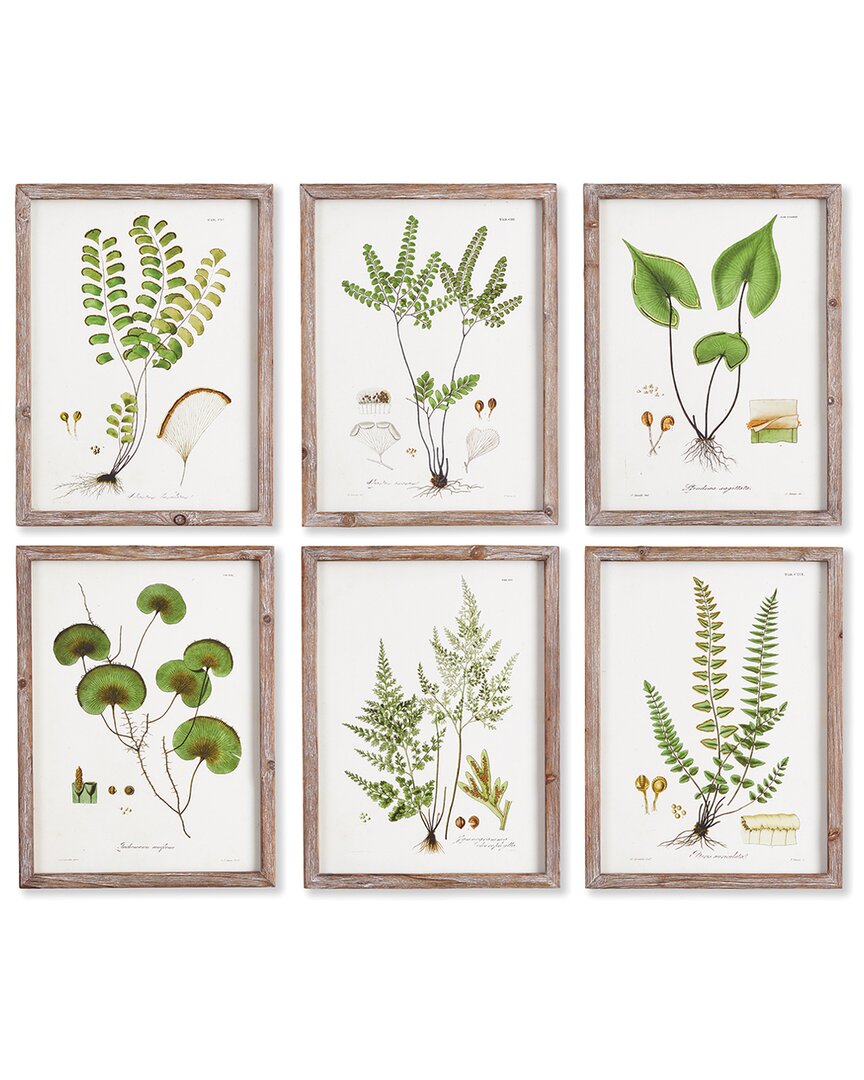 Napa Home & Garden Set Of 6 Shade Garden Study Prints