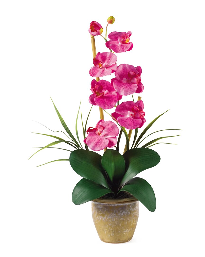 NEARLY NATURAL NEARLY NATURAL PHALAENOPSIS SILK ORCHID FLOWER ARRANGEMENT