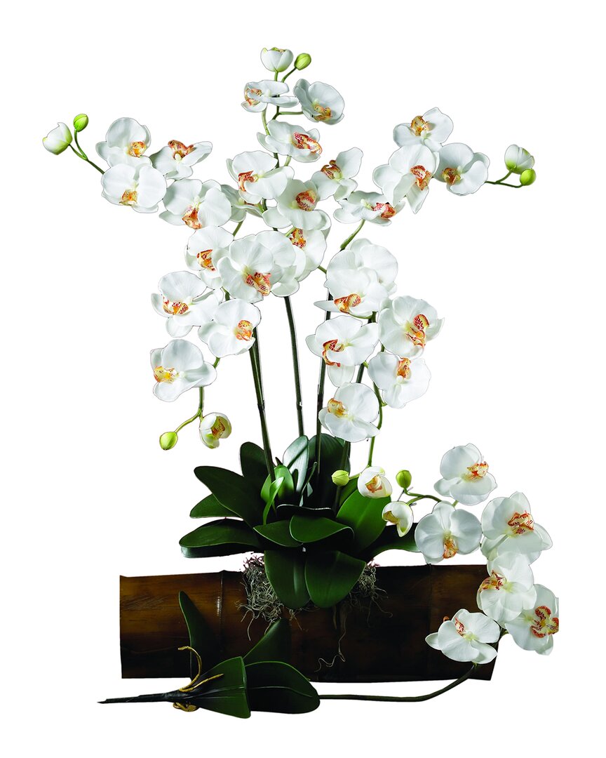NEARLY NATURAL NEARLY NATURAL SET OF 6 PHALAENOPSIS STEM