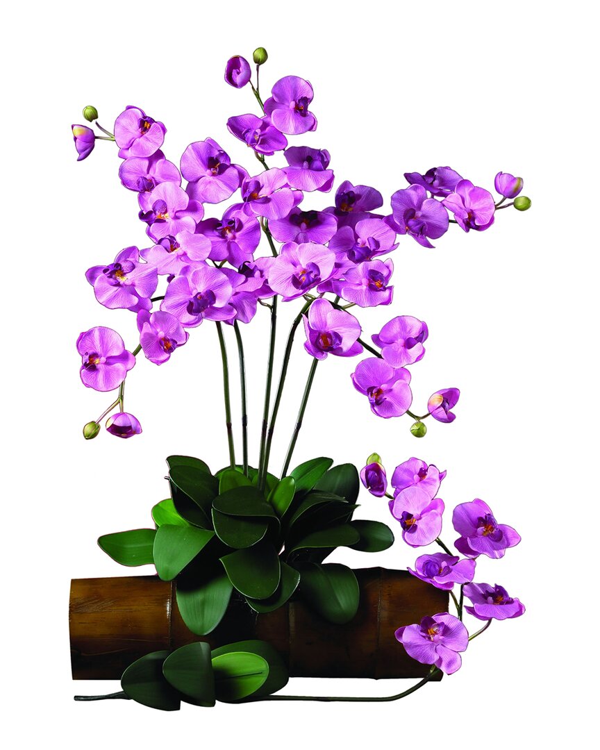 NEARLY NATURAL NEARLY NATURAL SET OF 6 PHALAENOPSIS STEM