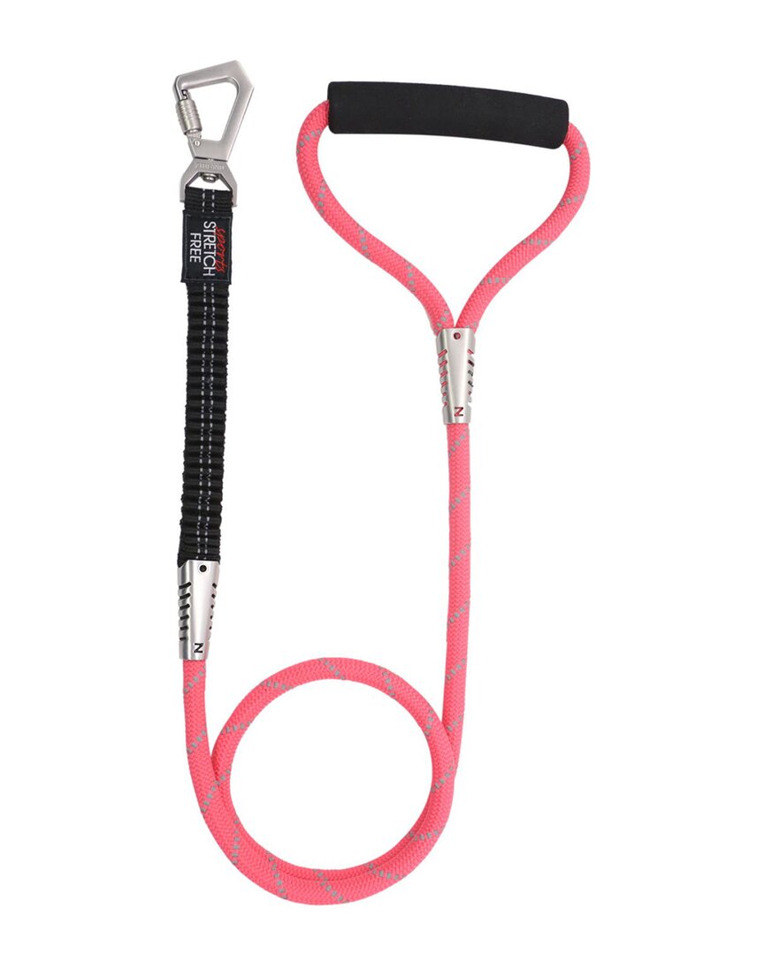 Pet Life Flexo Tour Shock Aborbing And 3m Reflec In Pink