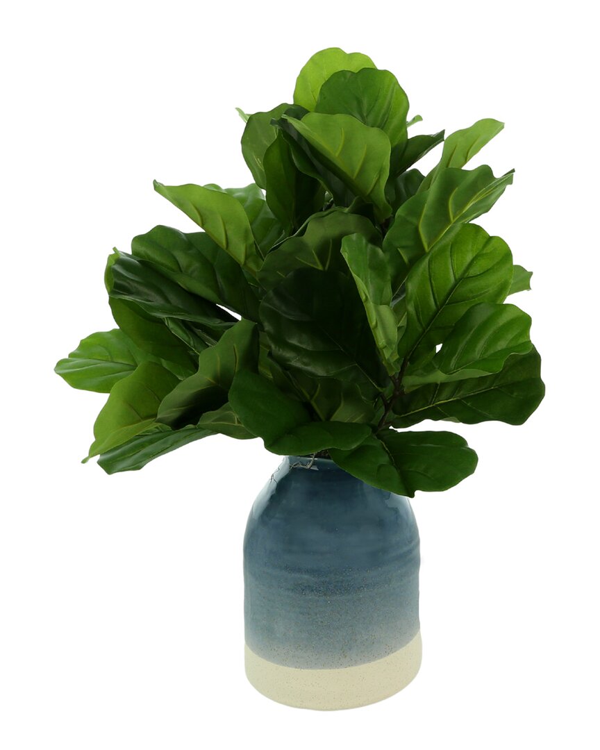 Creative Displays Fiddle Leaves In Blue & White Ceramic Jug In Green