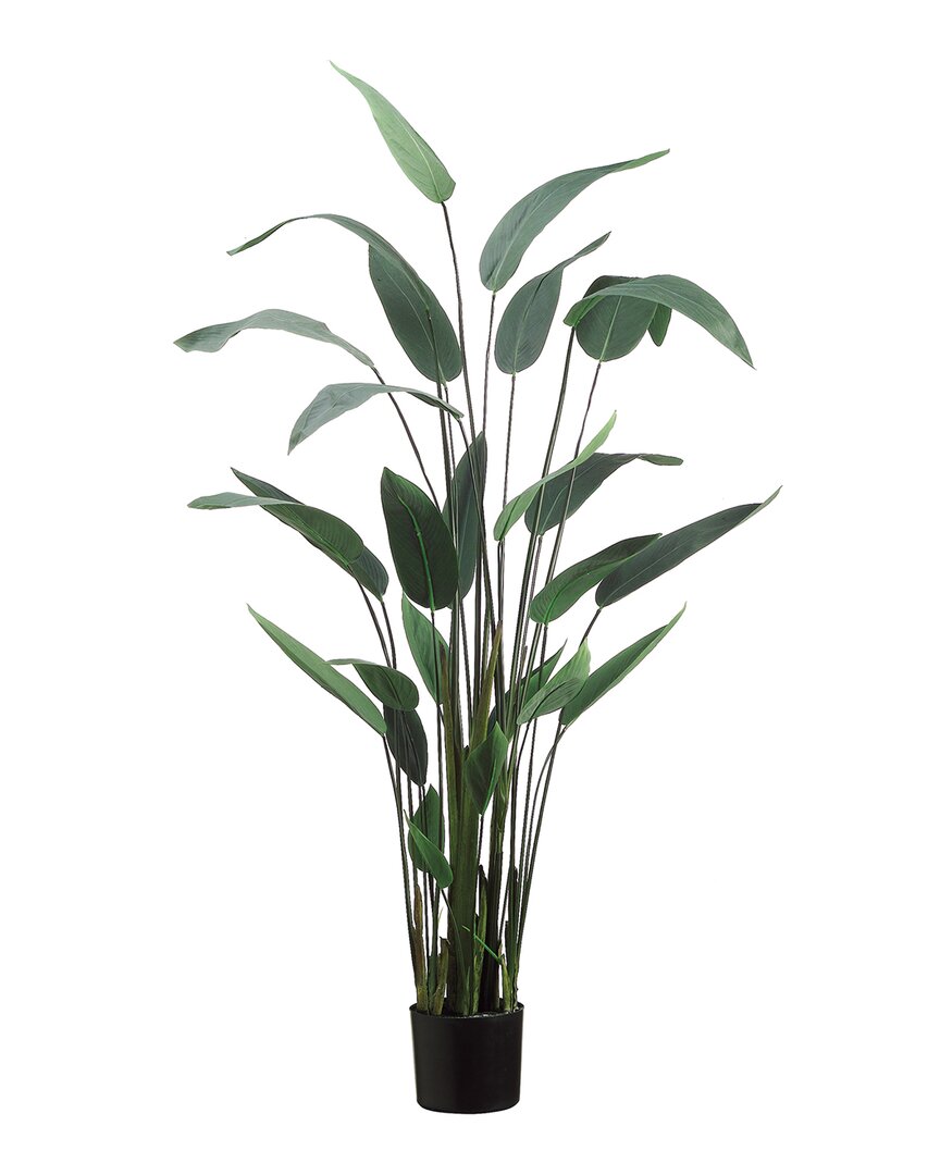 Creative Displays 65in Water Canna Plant With Plastic Filler In Green