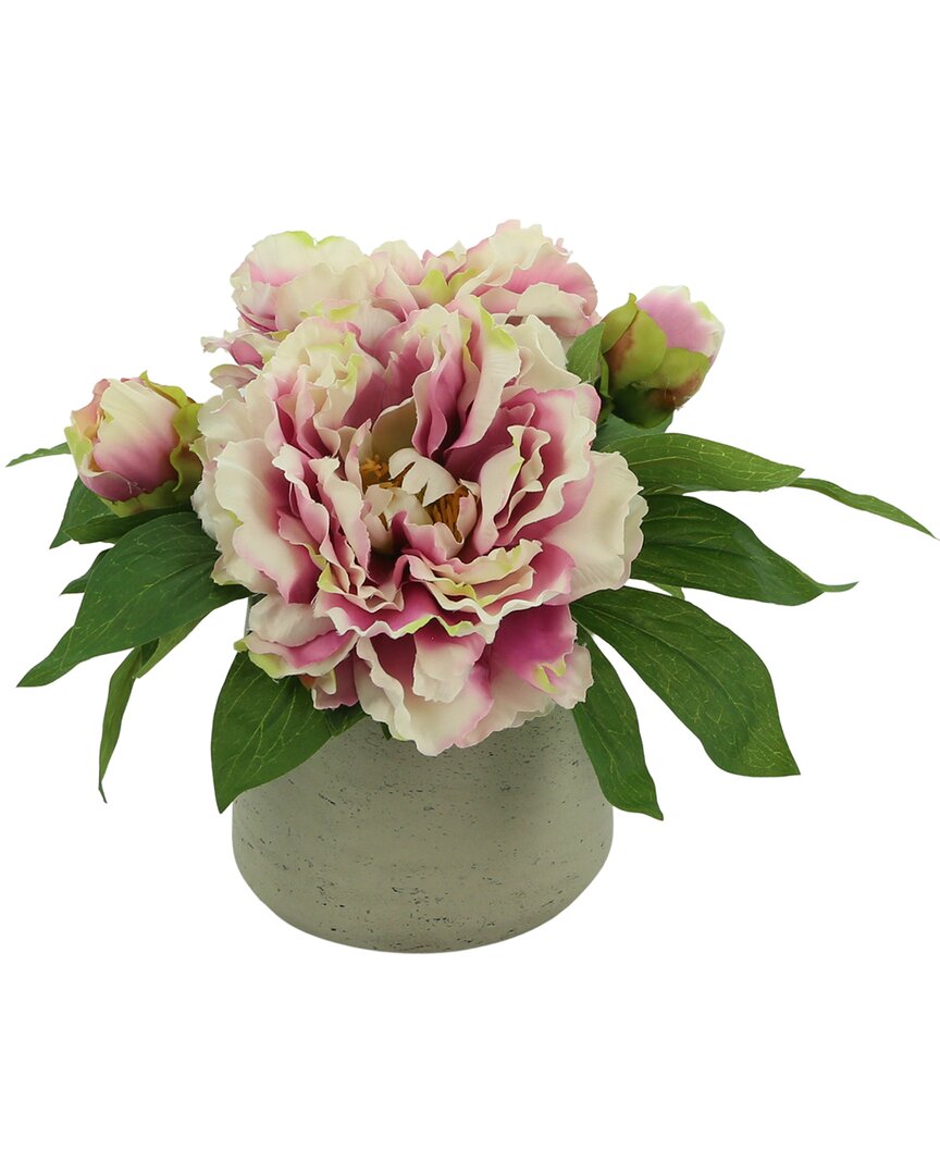 Creative Displays Cream & Green Hydrangea With Green Snowballs Floral Arrangement In Pink