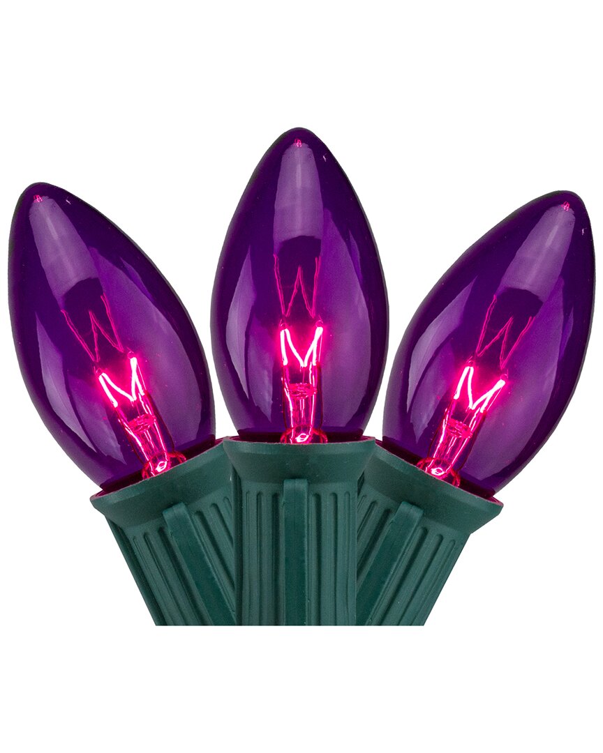 Northern Lights Northlight 25-count Purple Transparent C9 Christmas String Lights Set 24ft Green Wire In Purple