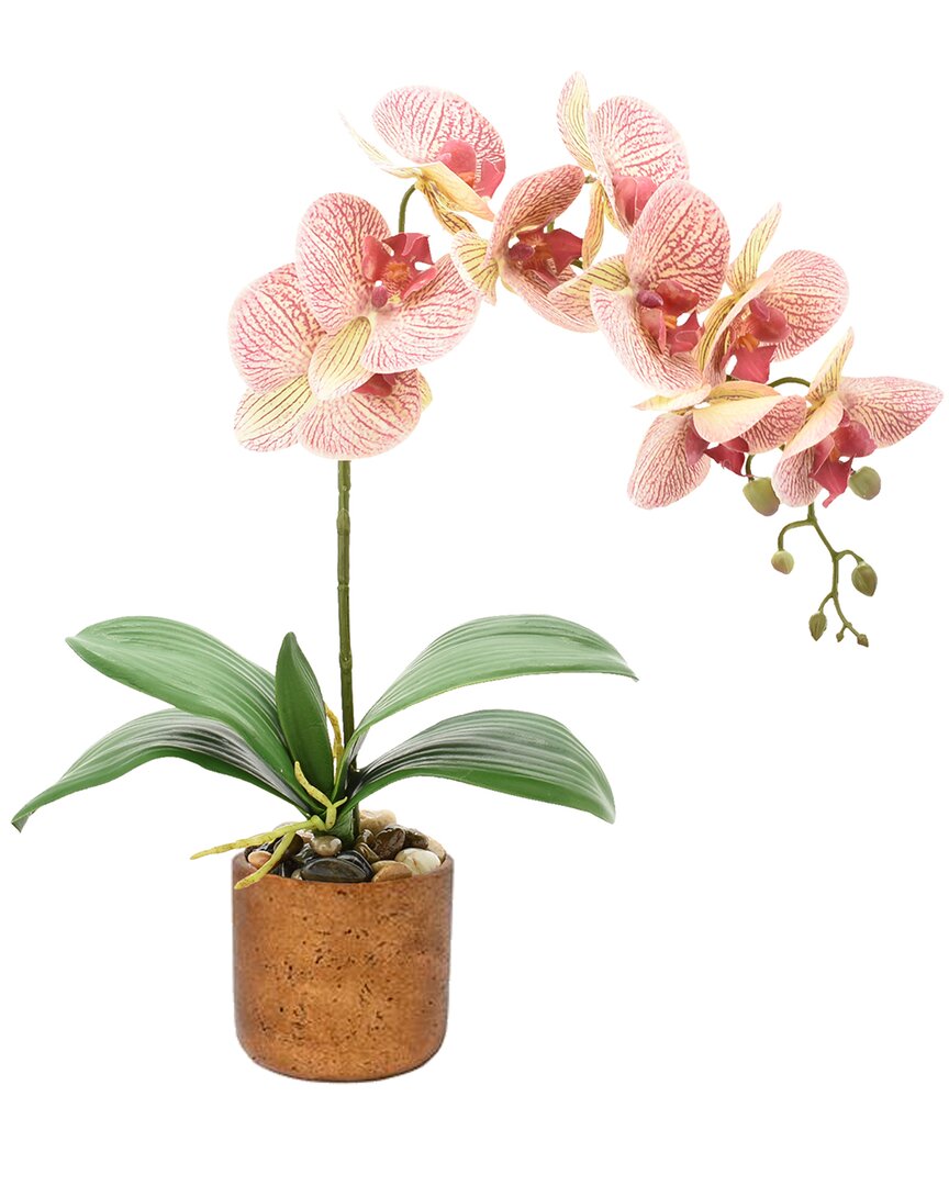 Creative Displays Orchid In Pot With River Rocks In Gold