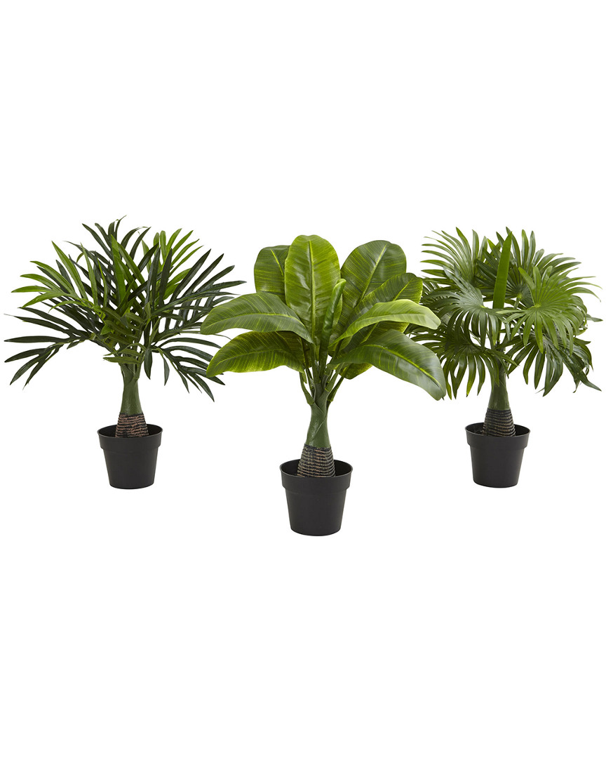NEARLY NATURAL NEARLY NATURAL SET OF 3 ARECA, FOUNTAIN & BANANA PALMS