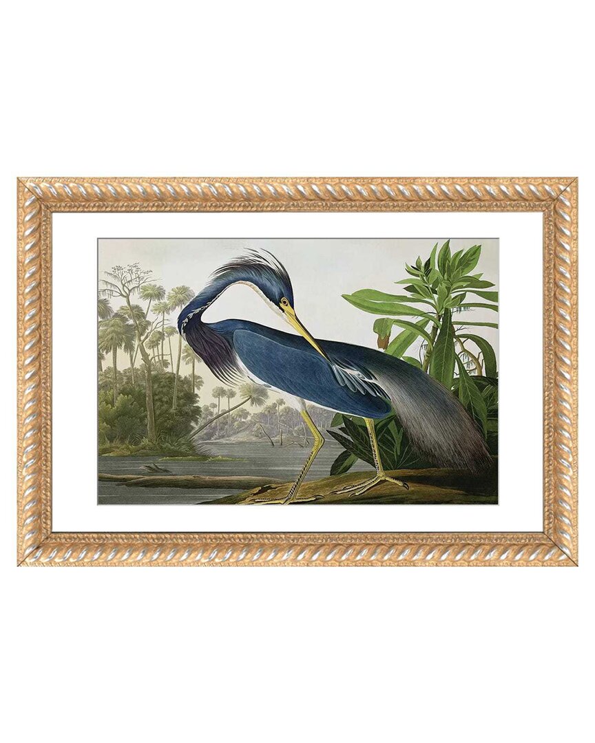 Shop Icanvas Louisiana Heron By John James Audubon Wall Art