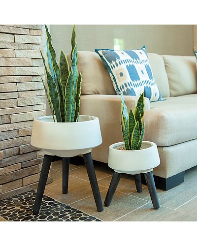 Set of 2 Fiberglass Pots on Legs