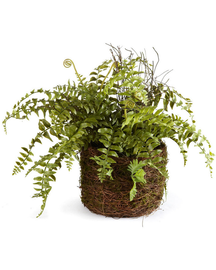 Napa Home & Garden Boston Fern Rustic Drop-in