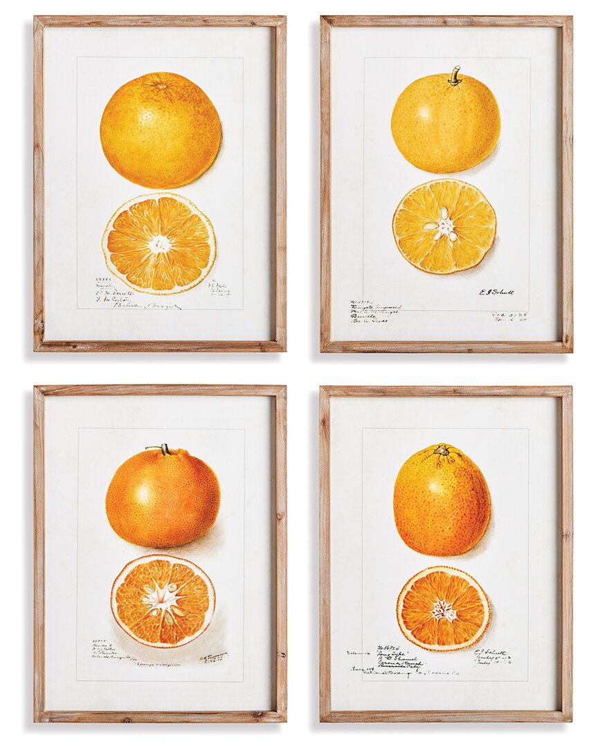 Napa Home & Garden Set Of 4 Citrus Study In Beige