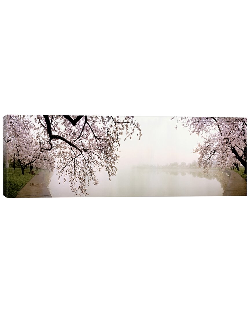 Icanvas Discontinued  Cherry Blossoms At The Lakesidewashington Dc, Usa By Panoramic Images Wall Art