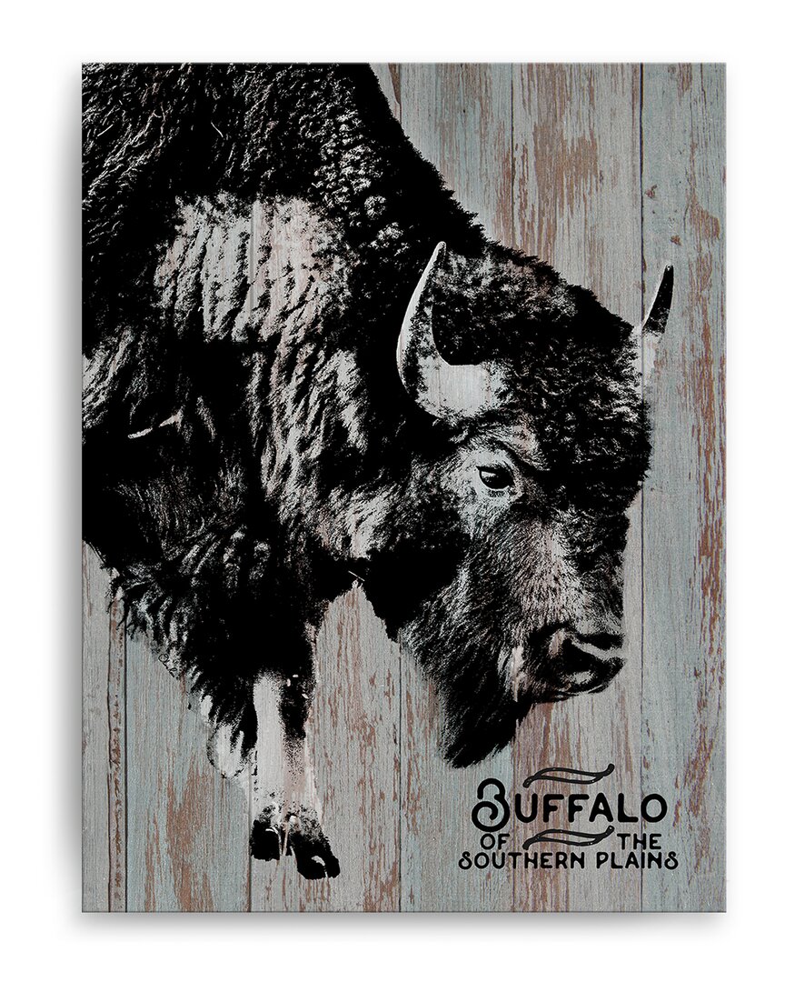 Ready2hangart Buffalo Wrapped Canvas Wall Art By Olivia Rose