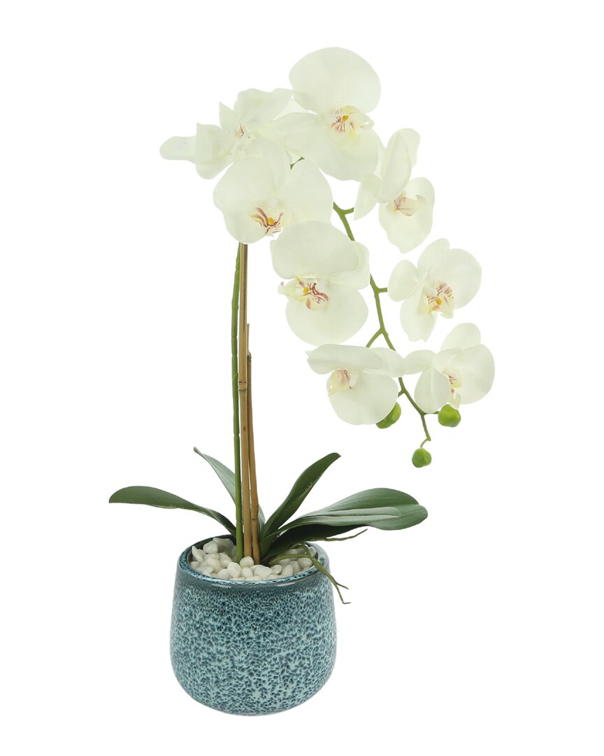 Creative Displays Coastal White Orchid Floral Arrangement
