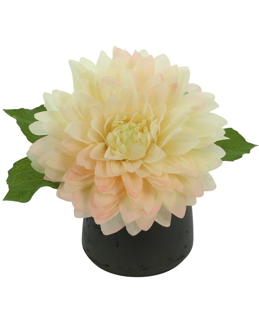 Creative Displays Pink Dahlia Floral Arrangement In Cream