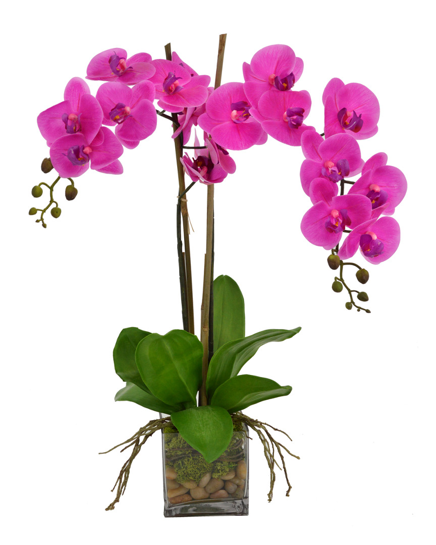 Creative Displays Fuchsia Orchid Floral Arrangement