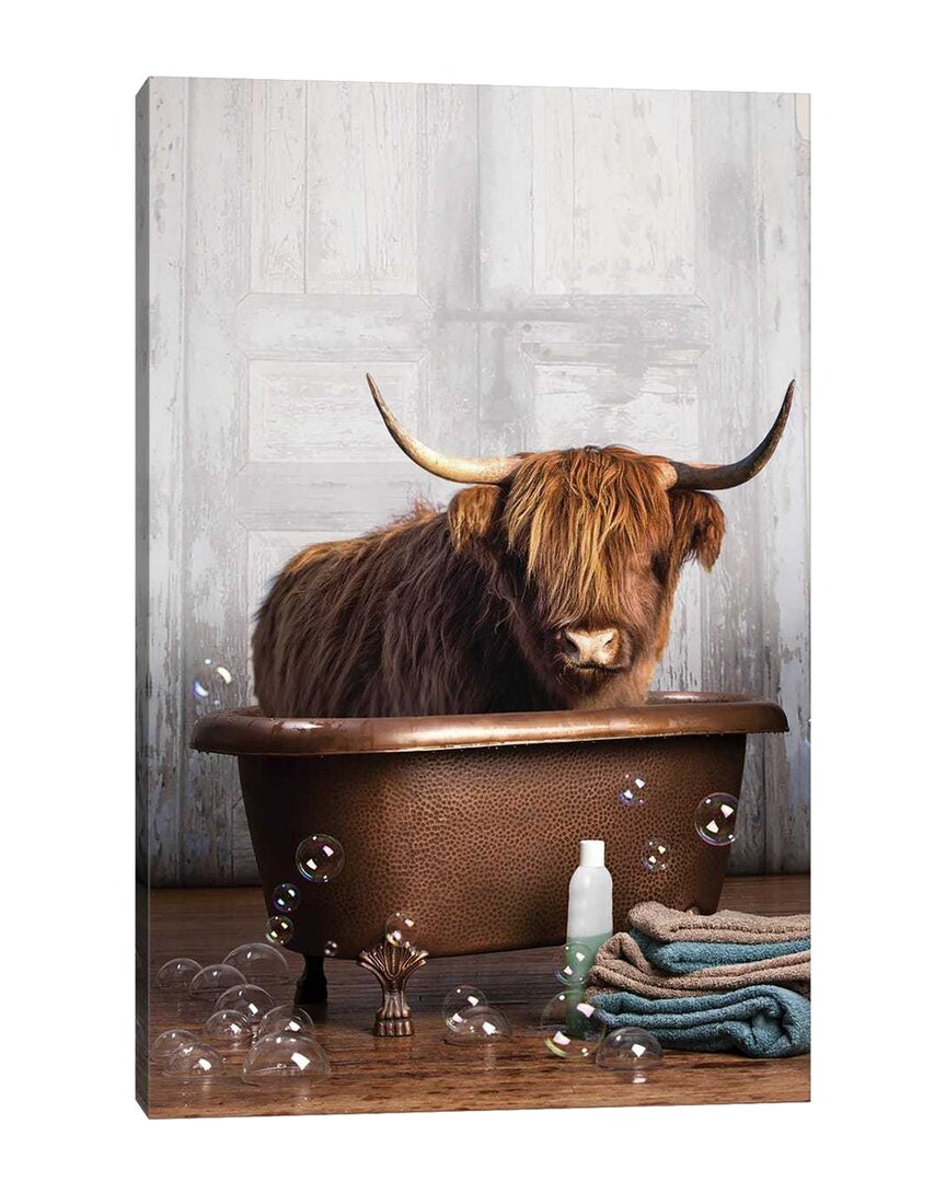 Icanvas Highland Cow In The Tub By Domonique Brown Wall Art In Multi