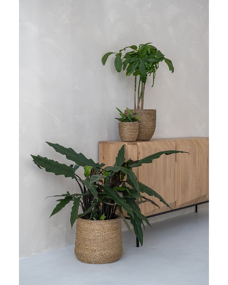 Creative Displays Beige Straw Grass-wrapped Cement Pot In Beige