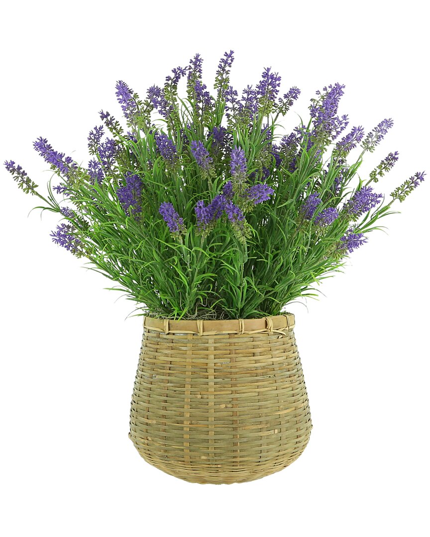 Shop Creative Displays Uv-rated Outdoor Lavender Arrangement In A Tan Basket  Planter In Purple