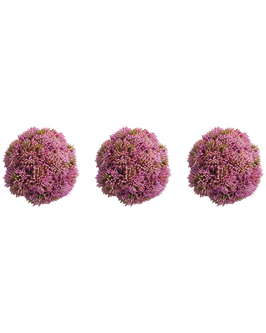 Creative Displays Set Of 3 Decorative Pink Sedum Balls In Pink