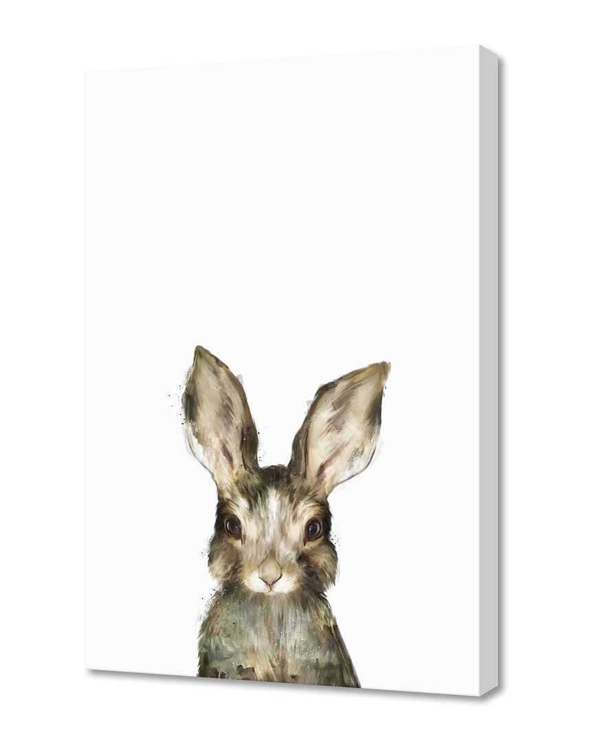 Curioos Little Rabbit By Amy Hamilton Wall Art