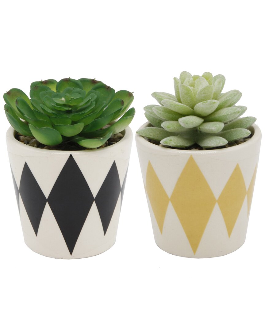 Flora Bunda Set Of 2 Succulents In Diamond Print Ceramic Pots In Black