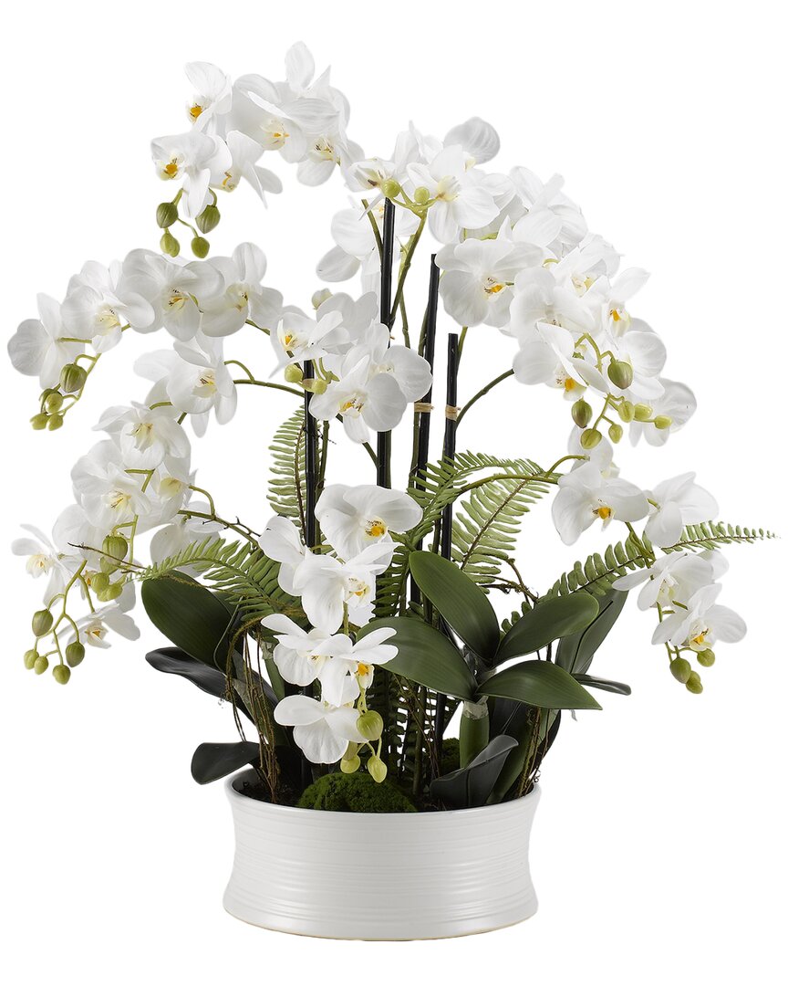Shop D&w Silks White Orchids In Round White Ceramic Dish