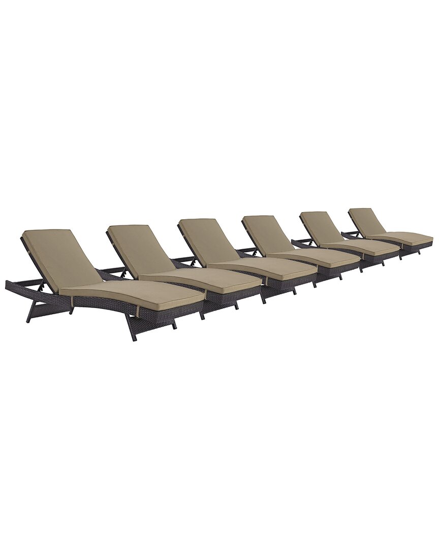 Modway Convene Set Of 6 Outdoor Patio Chaise Loungers In Brown