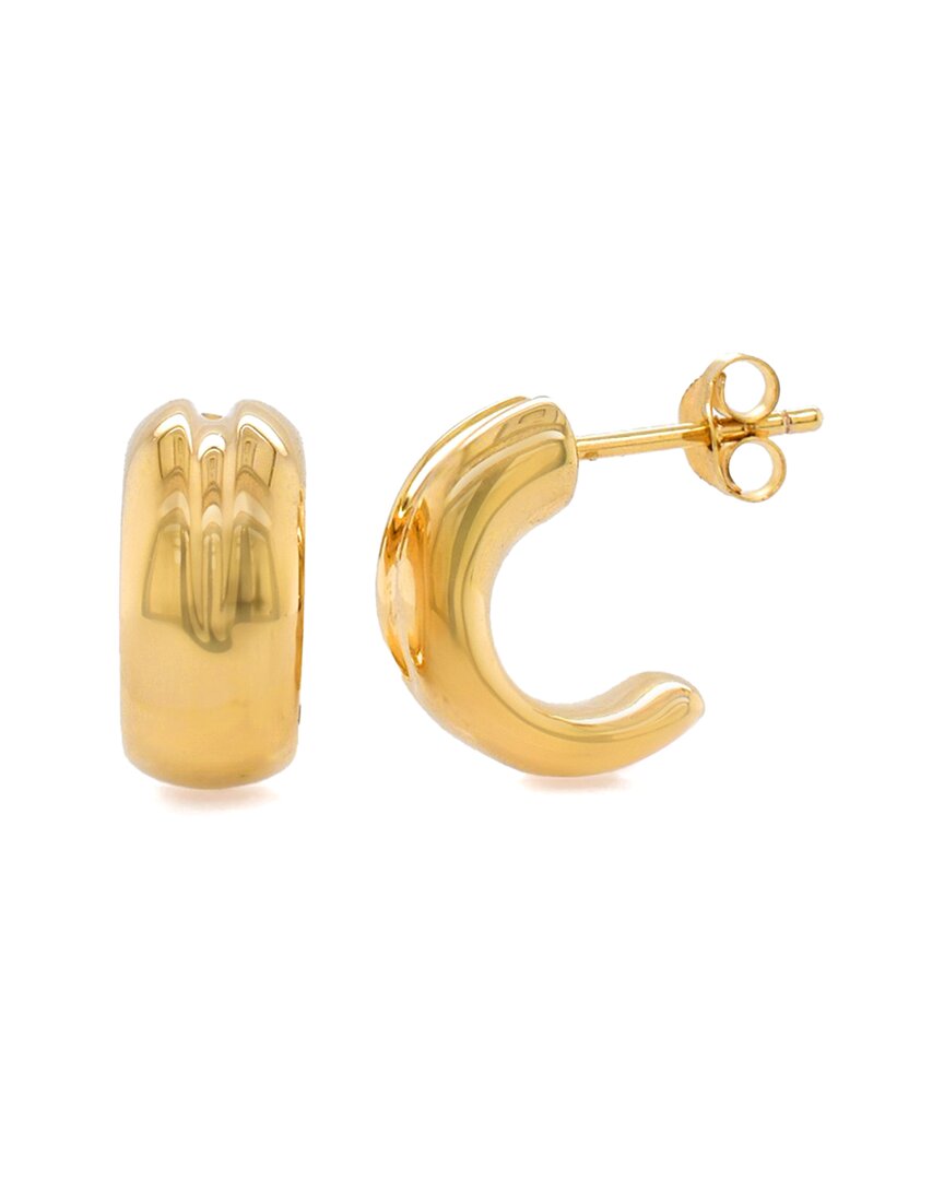 Maxcolor 14k Resin-filled Earrings